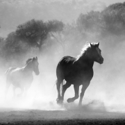 صورة Mary Maarouf