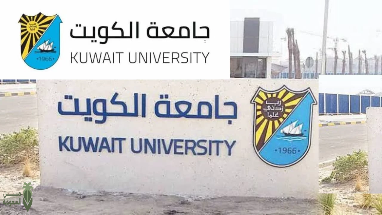 نسب القبول في جامعة الكويت 2024 جميع التخصصات