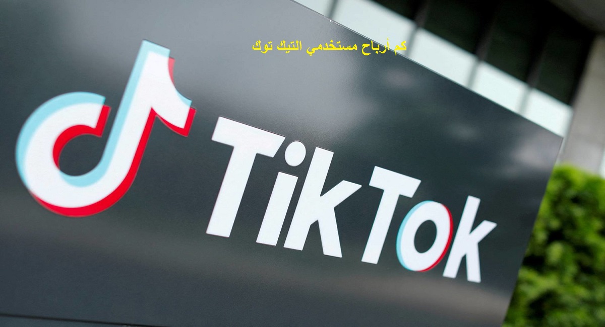 كم أرباح مستخدمي التيك توك