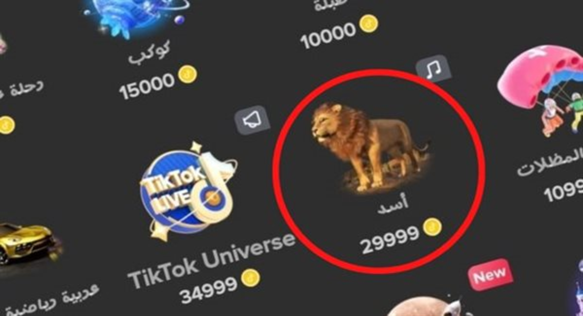 كم سعر أسد التيك توك بالدولار