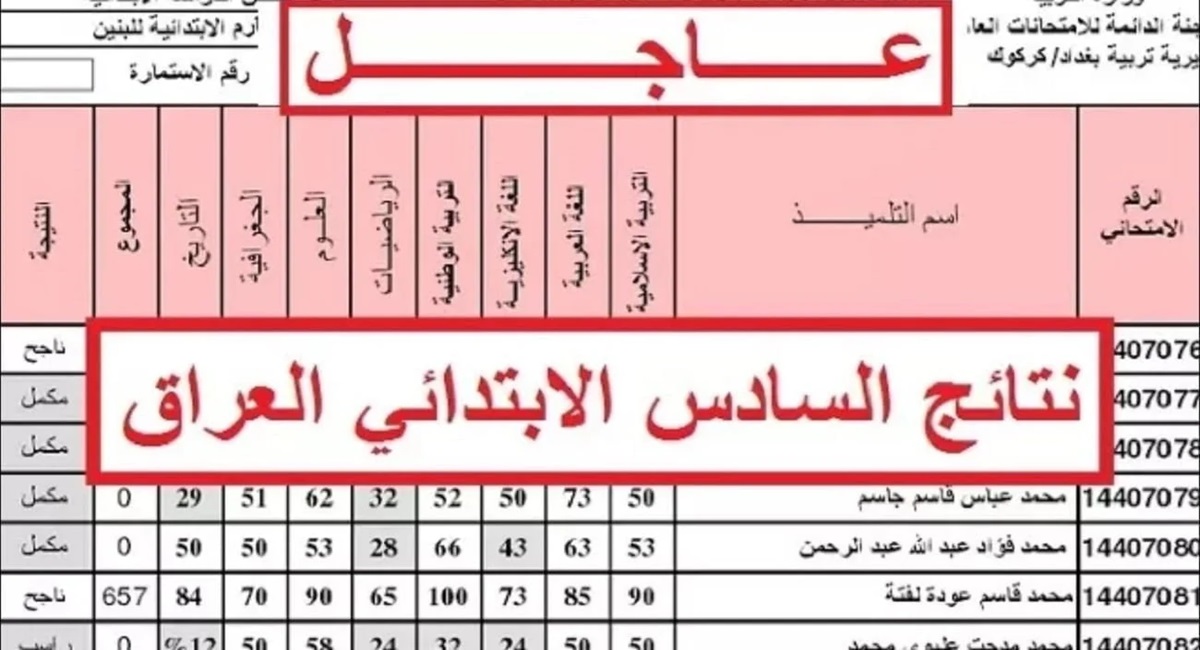 مبروووك..نتائج كربلاء بالاسم السادس الابتدائي 2024 الدور الأول pdf google drive