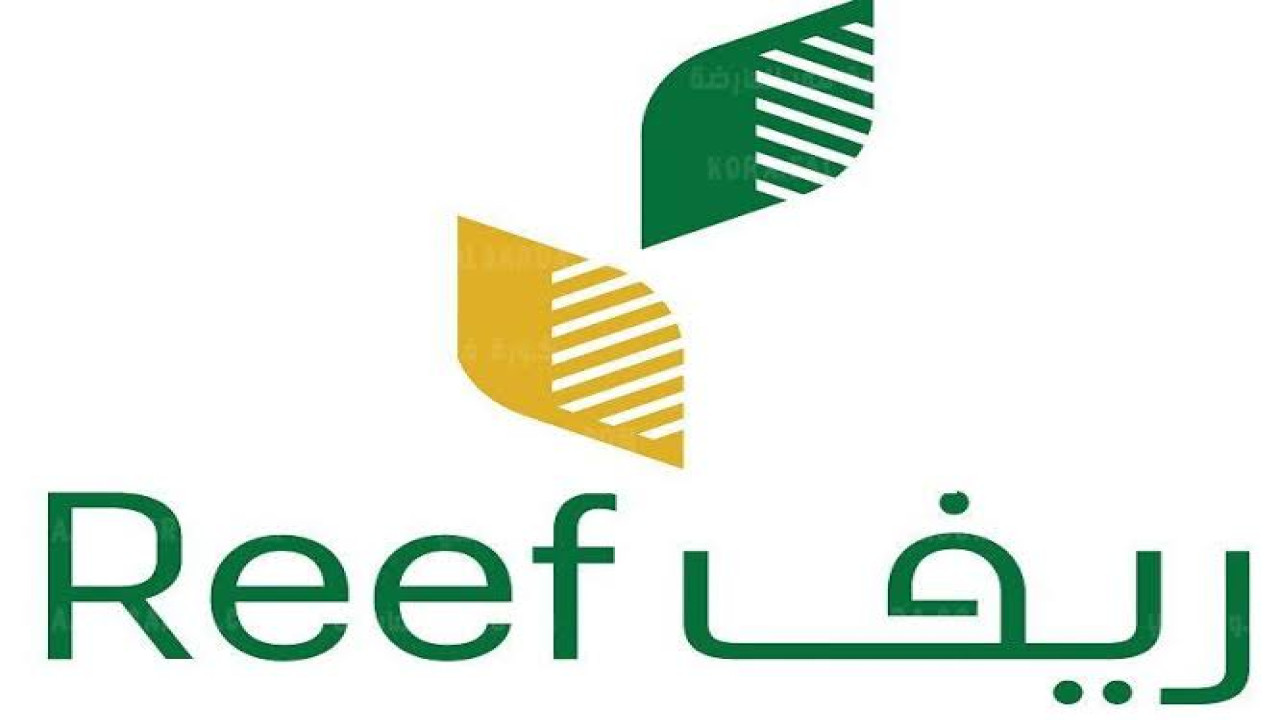 موعد صرف دعم ريف عن شهر يونيو 2024 وشروط التسجيل في البرنامج