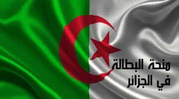 كيفية تجديد منحة البطالة في الجزائر 2024 والشروط المطلوبة