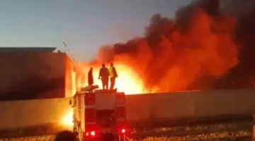 سبب حريق جامعة سيناء بالعريش؛ إليك تفاصيل الخبر كاملة
