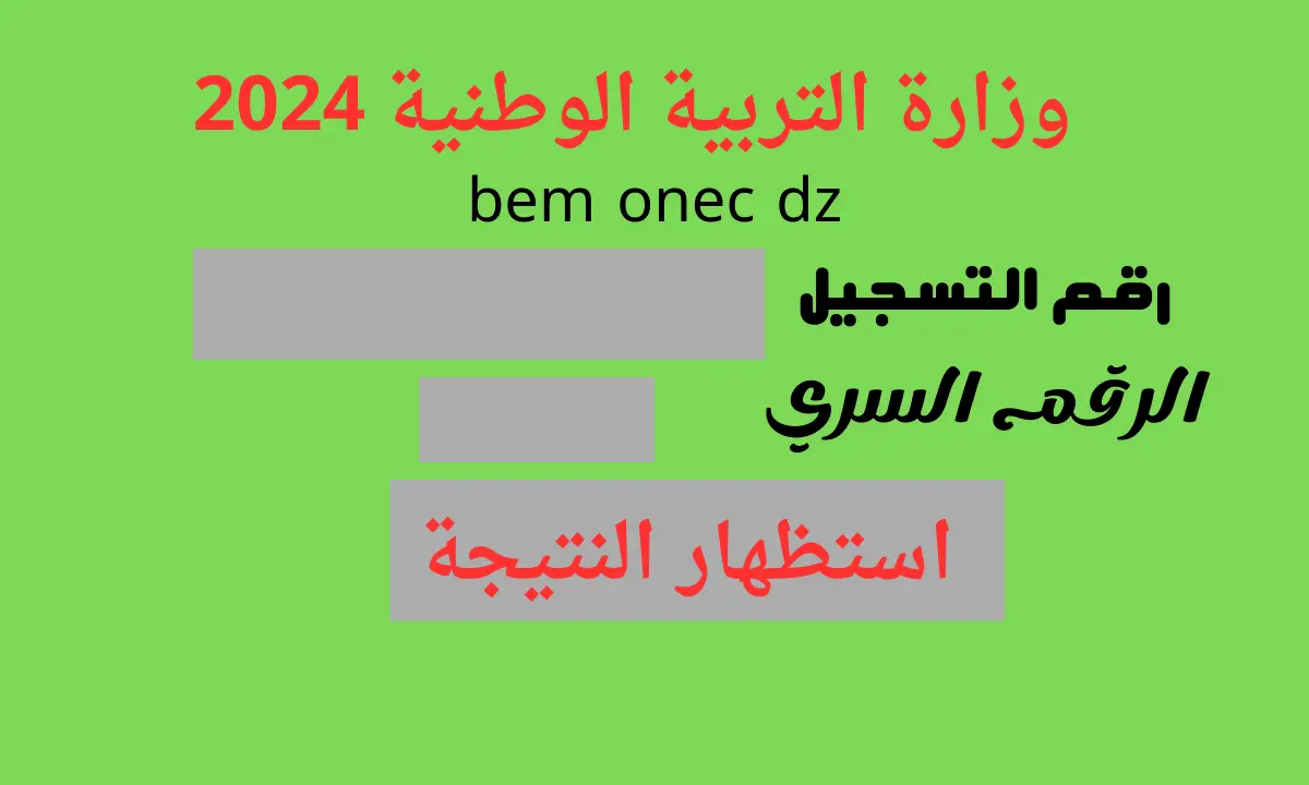 “بالاسم فقط”.. استخراج نتائج شهادة التعليم المتوسط 2024 في الجزائر bem.onec.dz موقع البيام