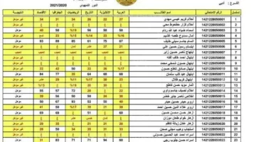 “اللينك الرسمي”.. رابط نتيجة الثالث متوسط العراق 2024 النجف بالرقم الامتحاني