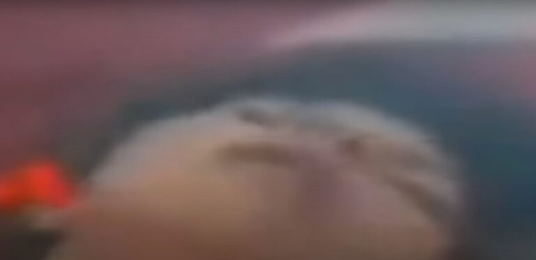 رابط فيديو جيجي وسيف