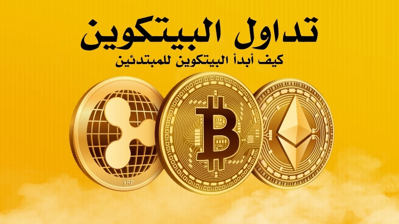 استراتيجية تداول البيتكوين للمبتدئين