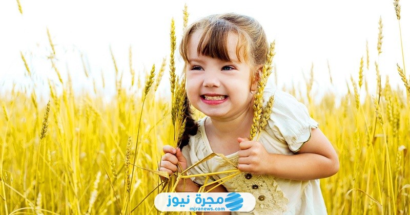 رابط اختبار مستواك في خفة الدم