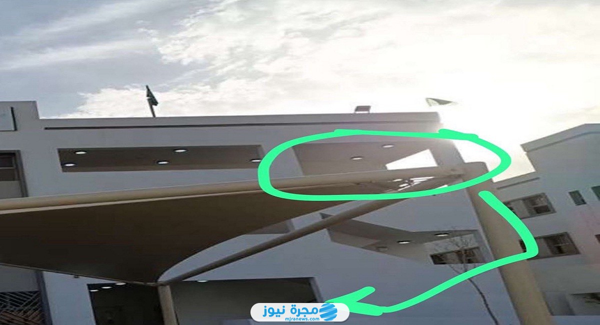 من هي وتين الهذيلي
