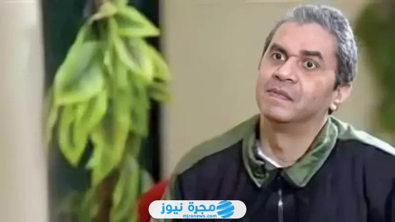 الفنان عمرو محمد علي