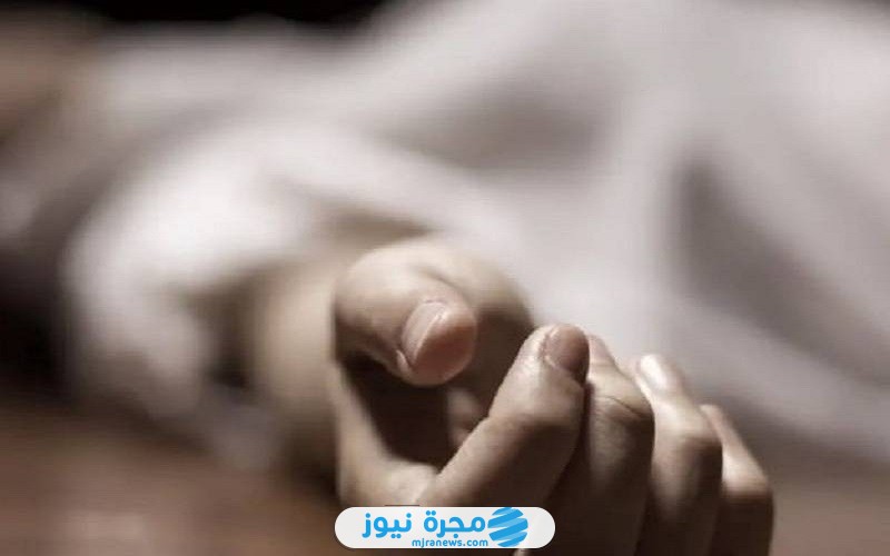 سمر عبد المنعم بشير