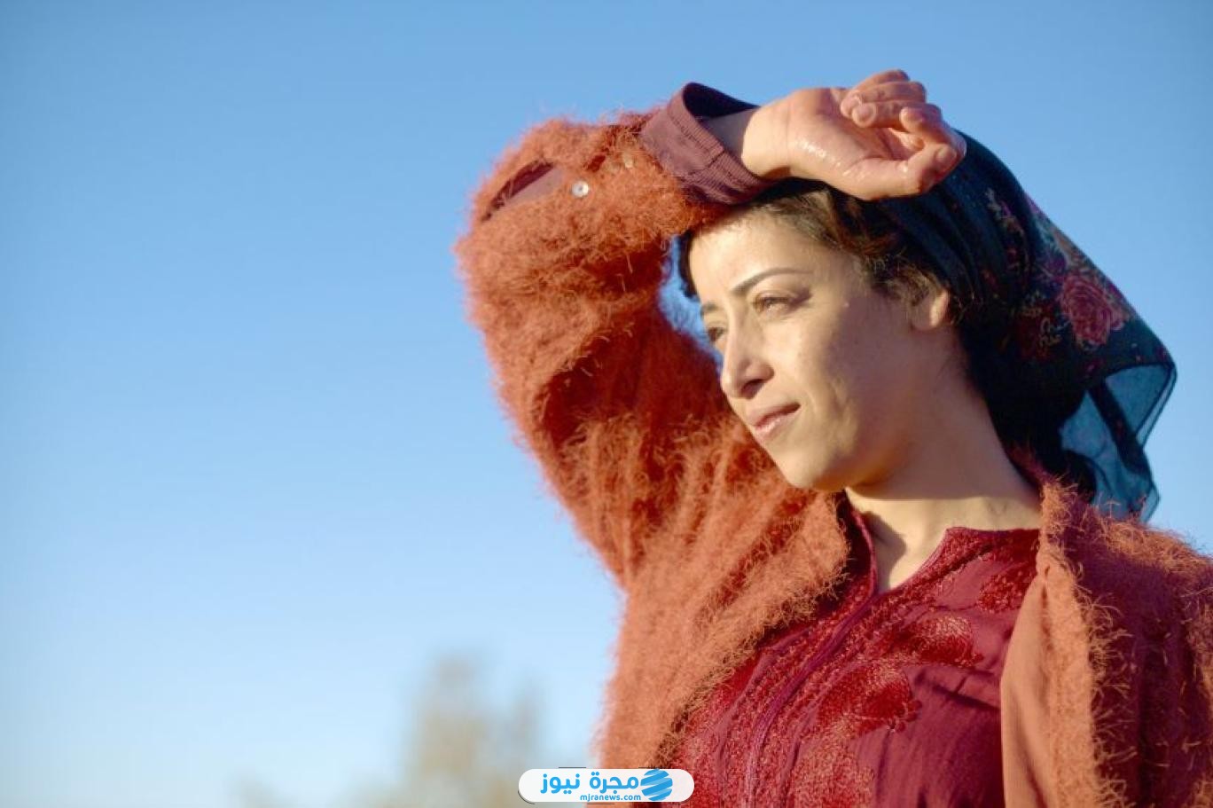 قصة فيلم الجميع يحب تودا؛ إليك تسريبات الأحداث