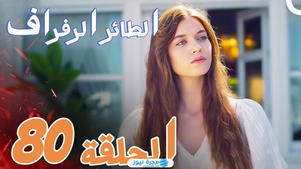 مشاهدة مسلسل الطائر الرفراف الحلقة 80