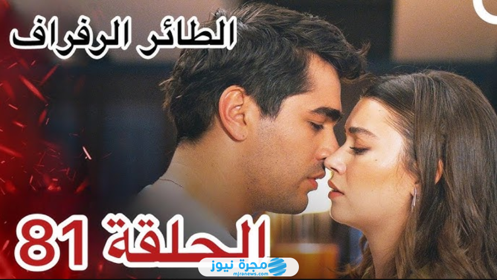 مسلسل الطائر الرافراف الحلقة 81