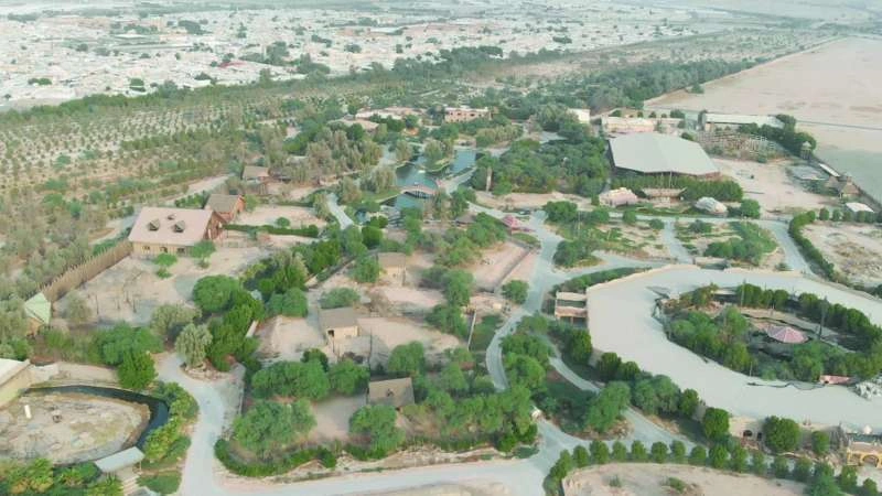 أسعار تذاكر الغابة الصغيرة الجهراء الكويت
