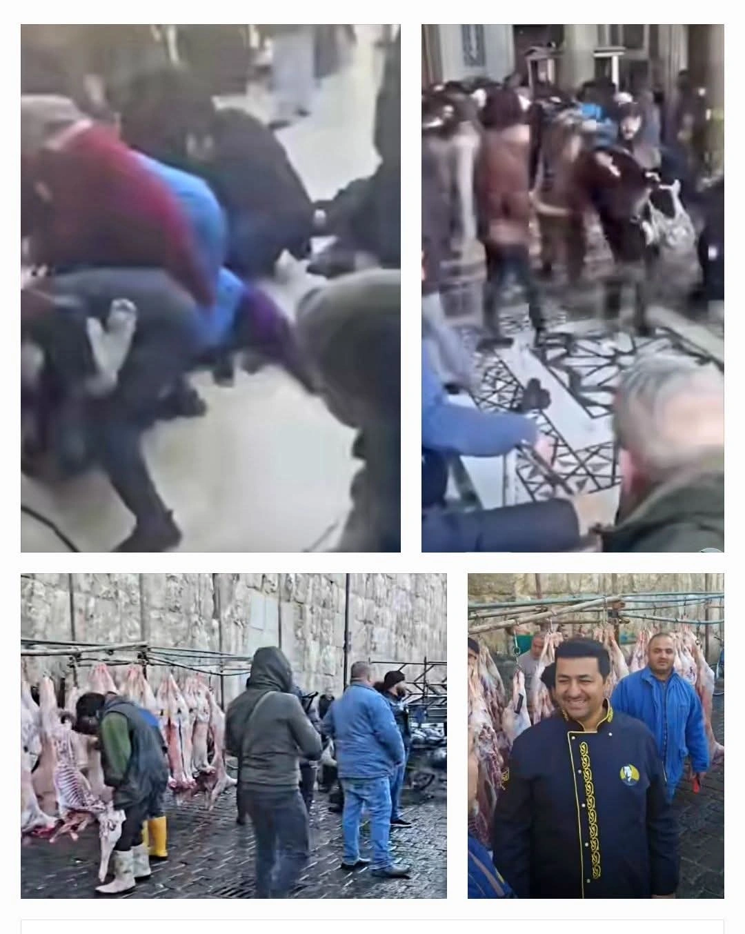 مشاهدة عزيمة الشيف أبو عمر في جامع الأموي بدمشق