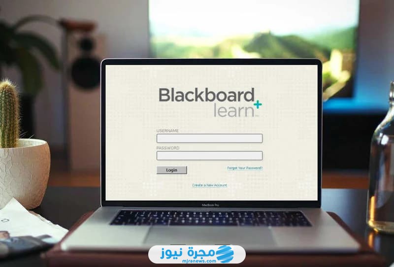 بلاك بورد جامعة ابوظبي تسجيل الدخول