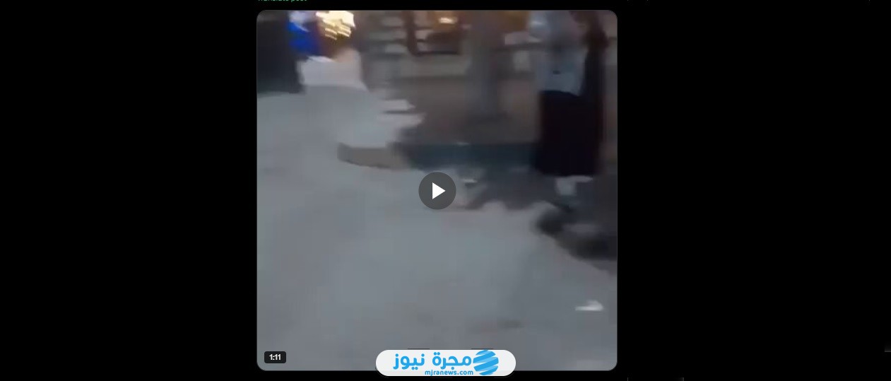 “حصريا” فيديو أسد يلتهم رأس حارس داخل حديقة الحيوان بالفيوم 2025