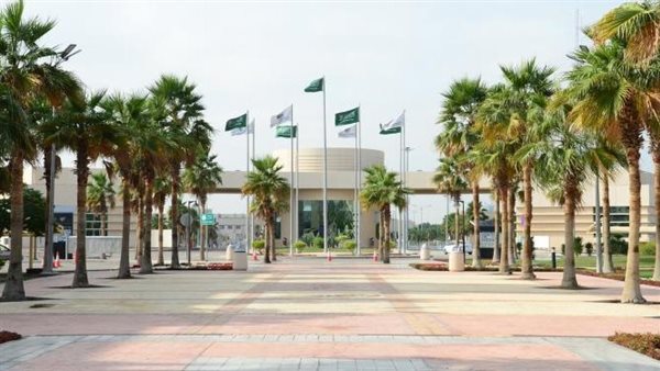 نسب قبول جامعة الإمام عبدالرحمن بن فيصل