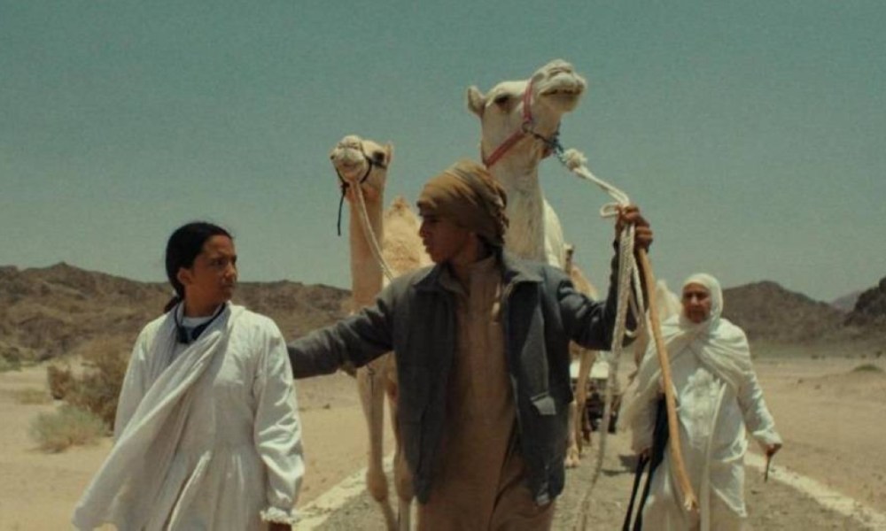 تنزيل فيلم هجرة السعودي