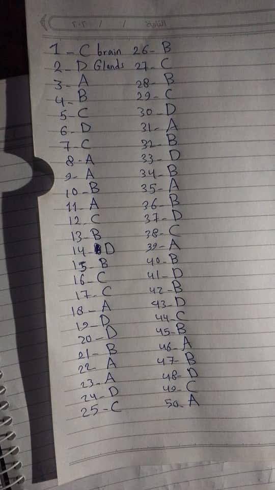 سلم تصحيح اللغة الإنجليزية بكالوريا علمي سوريا 2025