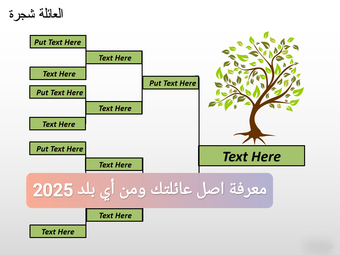 معرفة اصل عائلتك ومن أي بلد 2025