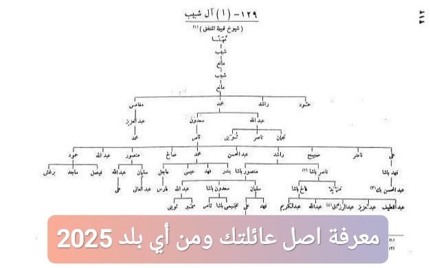 معرفة اصل عائلتك ومن أي بلد 2025