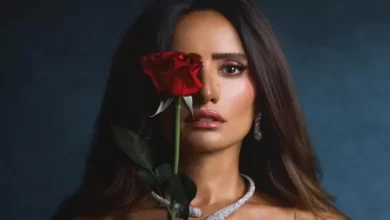 قصة مسلسل ورد وشوكولاتة