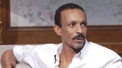 سبب القبض على الفنان محمد فاروق شيبا
