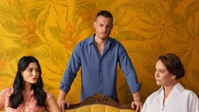 قصة مسلسل الخفقان