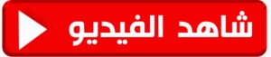 فيلم ميرا النوري مع جوني وصديقه العربي
