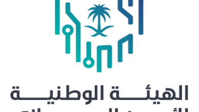 شروط التسجيل في برنامج تاهيل خبراء المستقبل في مجال الأمن السيبراني 2025