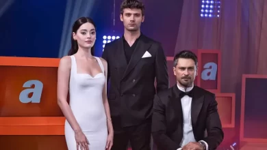 عدد حلقات مسلسل غريب في المرآة التركي