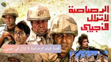 قصة فيلم الرصاصة لا تزال في جيبي