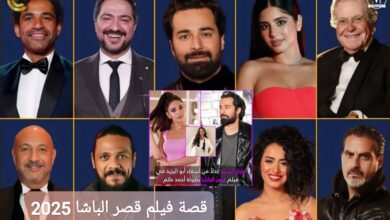 قصة فيلم قصر الباشا 2025