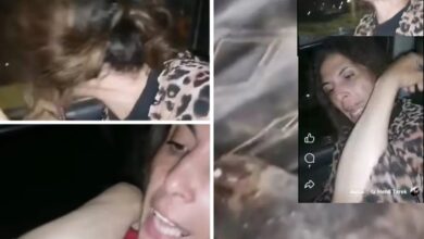 ضرب الصحفية مي محمود بسبب إطعامها الكلاب