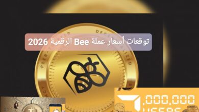 توقعات أسعار عملة Bee الرقمية 2026