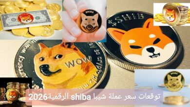 توقعات سعر عملة شيبا shiba الرقمية 2026