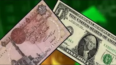 سعر الجنيه المصري أمام العملات الأجنبية