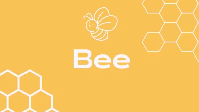 سعر عملة Bee الرقمية مقابل الدولار الأمريكي