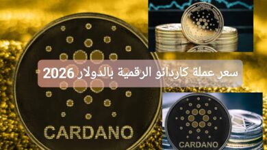 سعر عملة كاردانو الرقمية بالدولار 2026