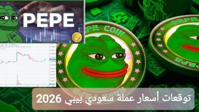 توقعات أسعار عملة سعودي بيبي 2026