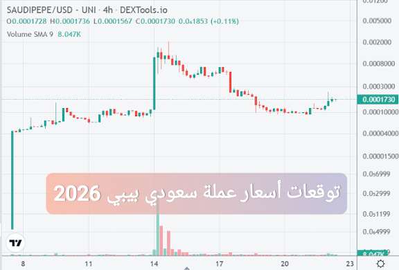 توقعات أسعار عملة سعودي بيبي 2026