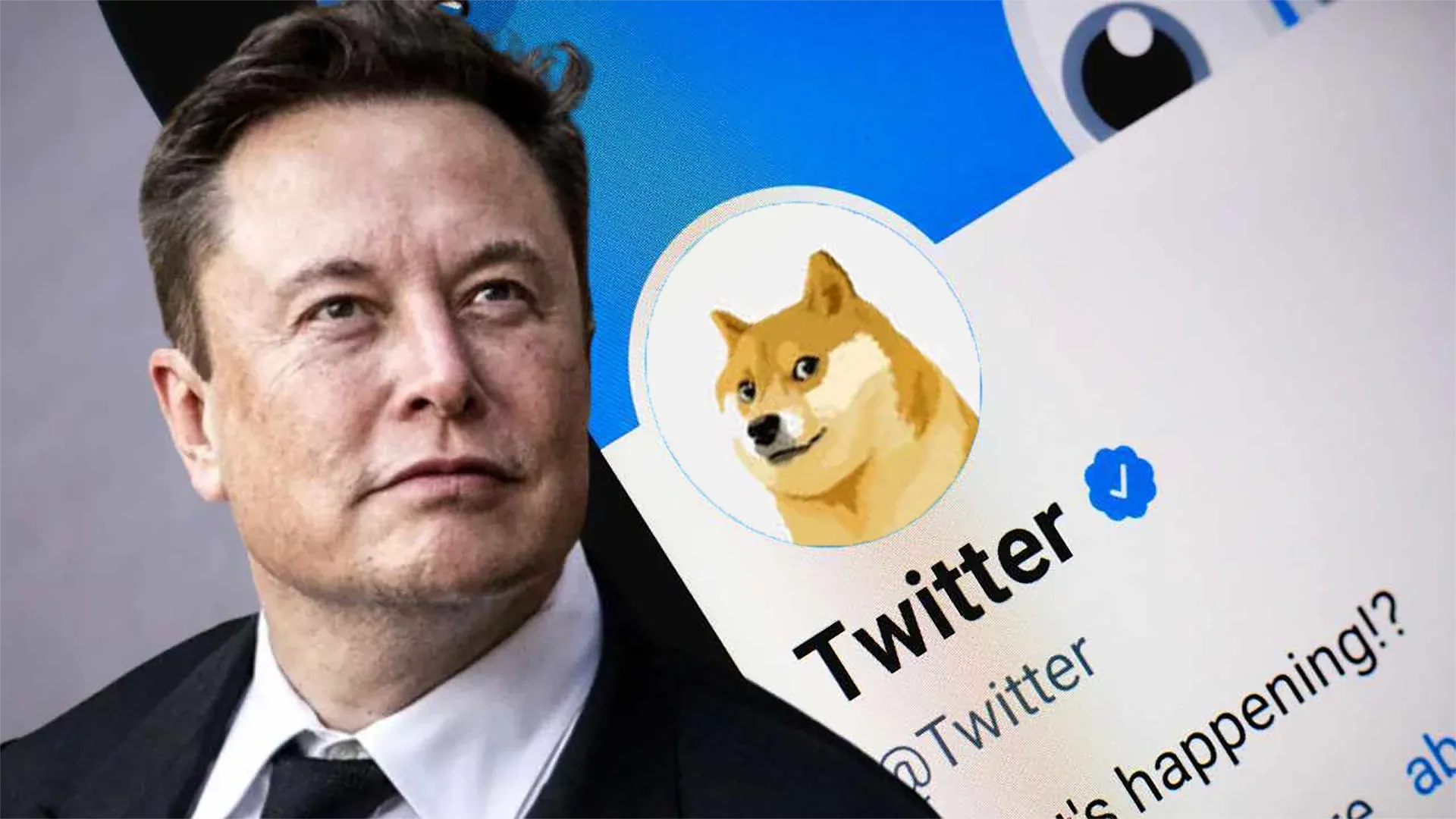 سعر عملة الدوجكوين Dogecoin