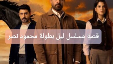 قصة مسلسل ليل بطولة محمود نصر