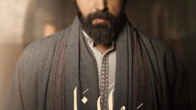 قصة مسلسل مولانا