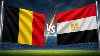 بث مباشر مباراة مصر وبلجيكا