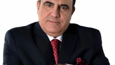 إلغاء حفل شادي جميل في دمشق
